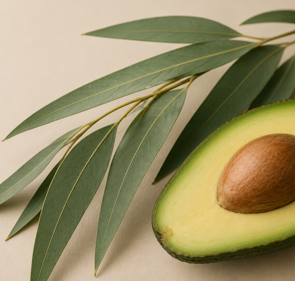 Eucalyptus Avocado Oil Body Wash